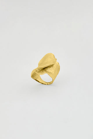 Anillo FJ gold